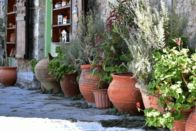 flowers karpathos ramnus.gr